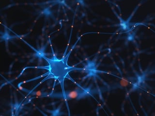 Interconnectedness of neural networks
